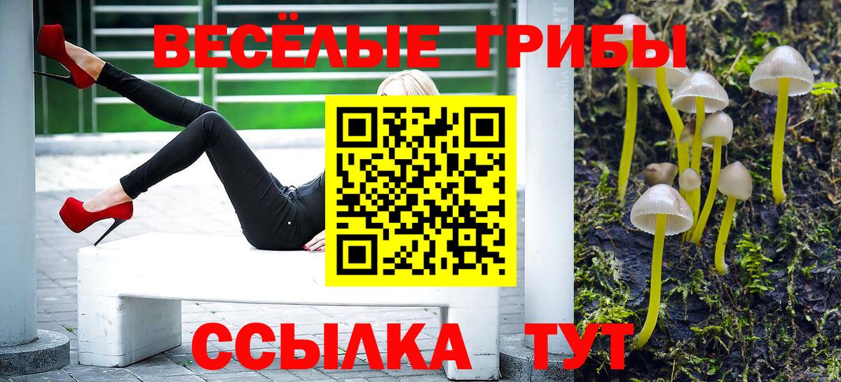 Зерноград  Галлюциногенные грибы MAGIC MUSHROOMS  Вход с VPN  Галлюциногенные грибы мицелий 