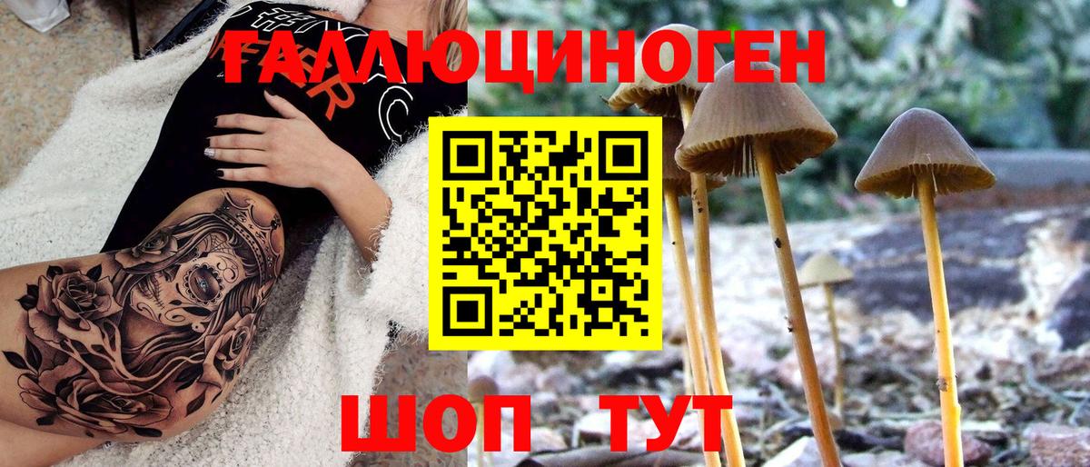 Галлюциногенные грибы Magic Shrooms Зерноград
